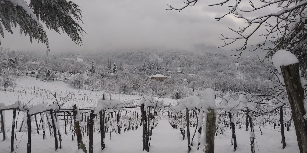 Dimis Ferdobi Hostel Buitenkant foto